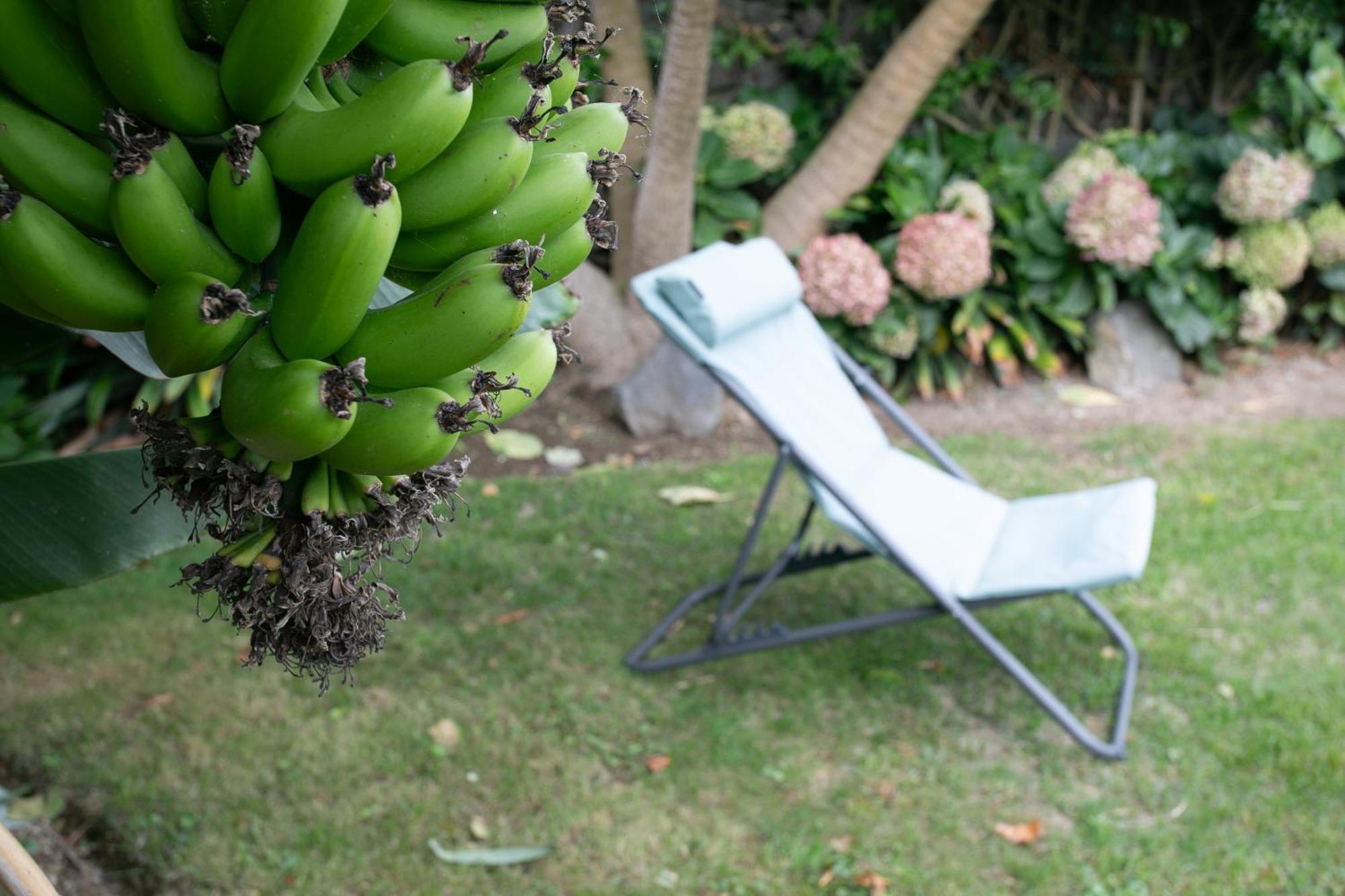 Villa Maria'S Haven Santo Antonio  Exterior foto